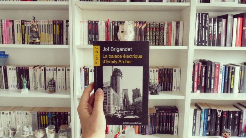 IMG_20170115_131348.jpg image