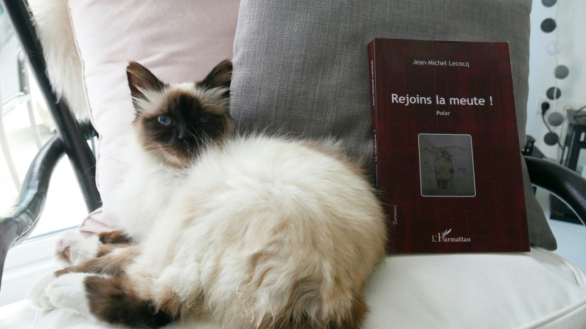 IMG_20170828_165141_457.jpg image