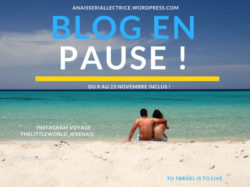 BLOG EN PAUSE ! (2).jpg