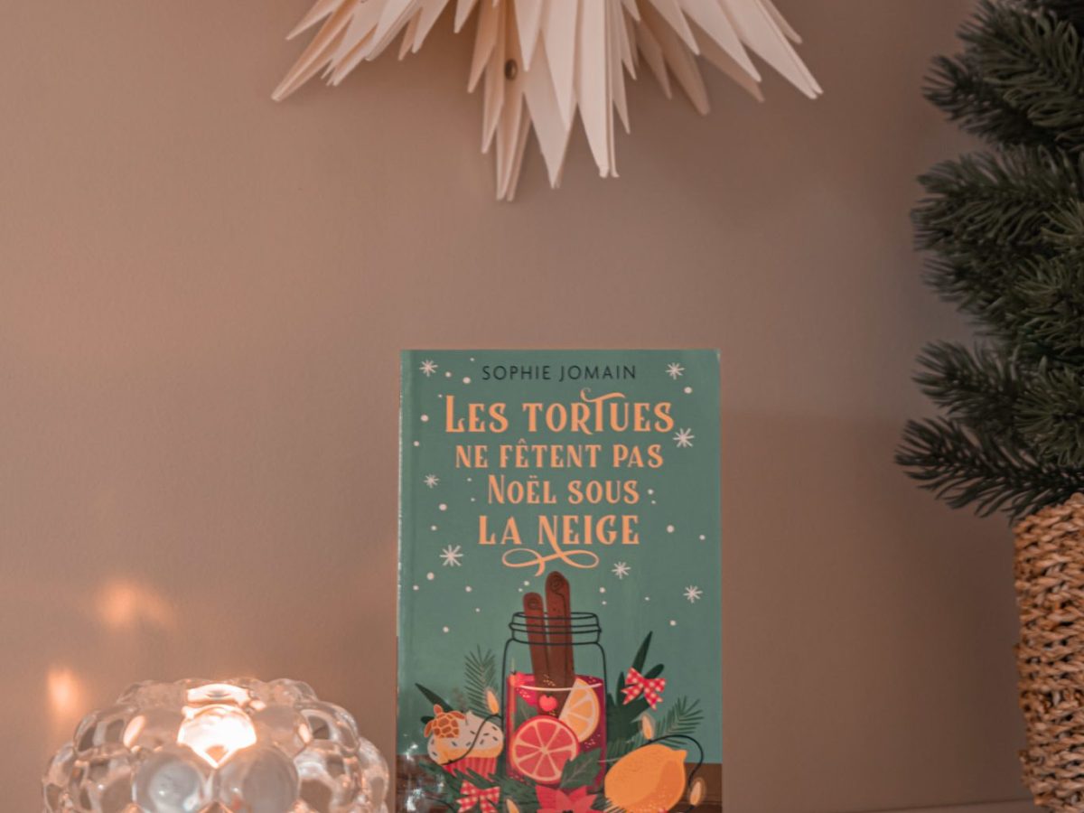 Les tortues ne fêtent pas Noël sous la neige – Sophie&nbsp;Jomain